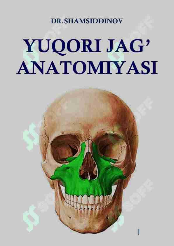 YUQORI JAG' ANATOMIYASI
