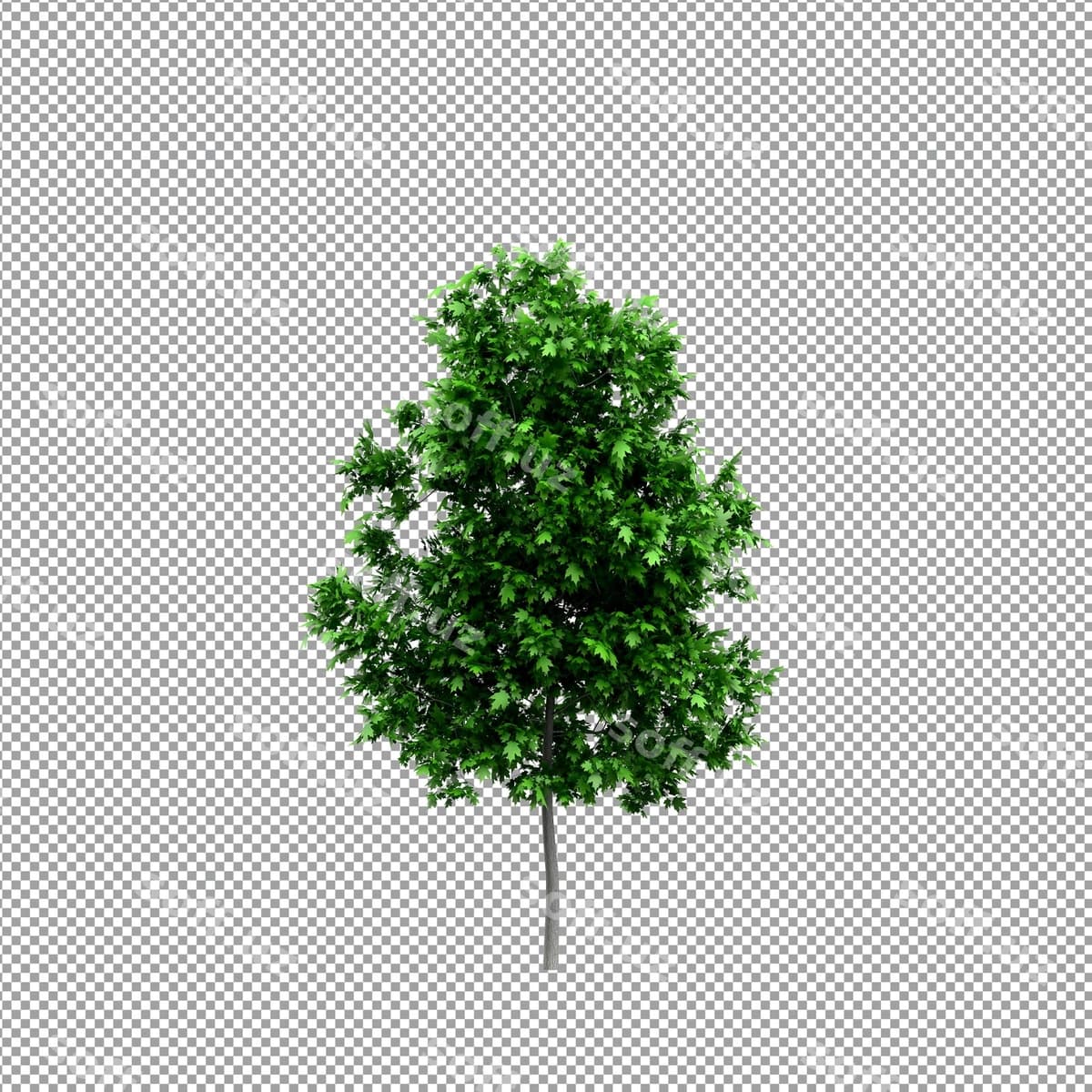 Chiroyli shoir 3d renderizatsiyasi, ajralangan | Beautiful plant 3d rendering isolated