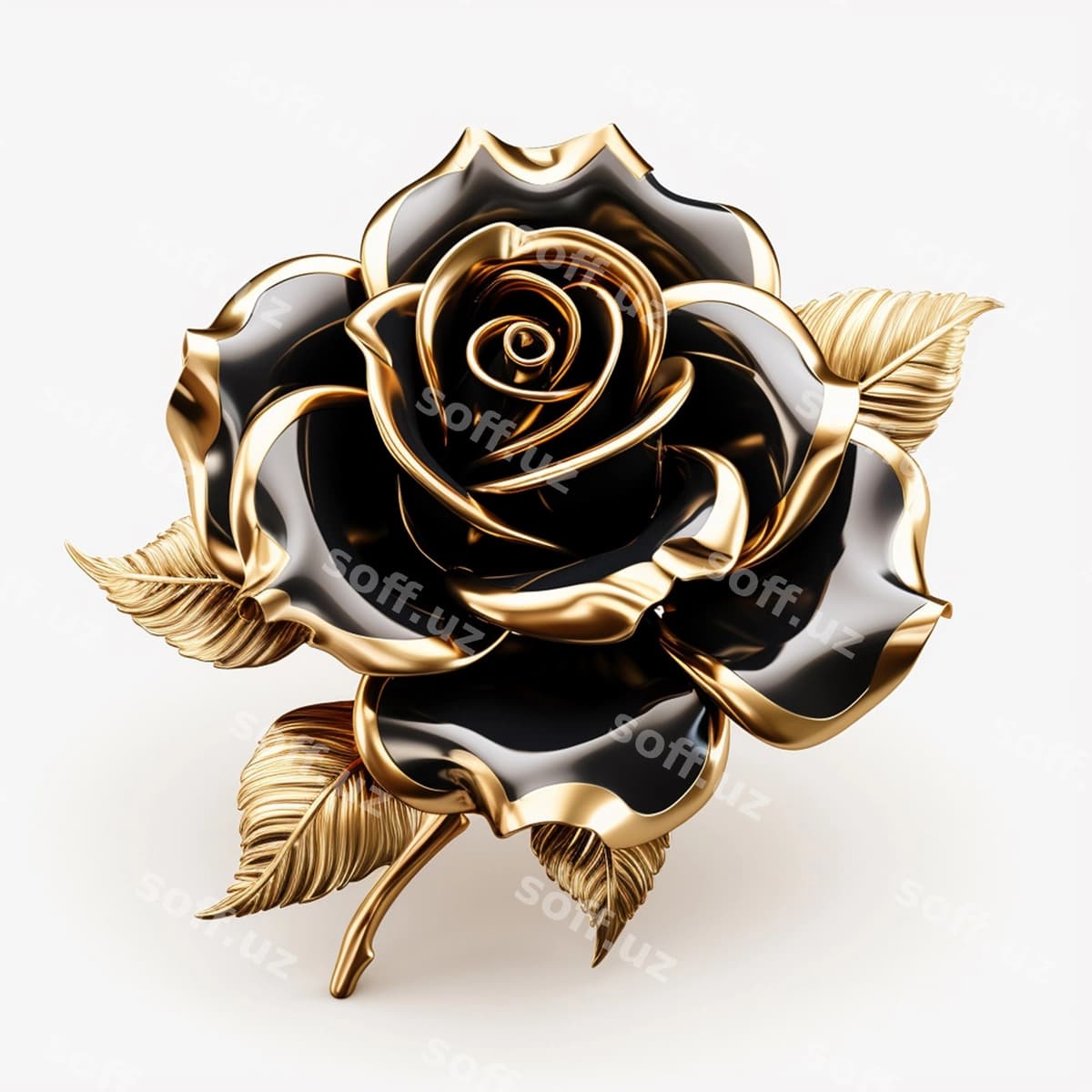 Qora roza | Black rose