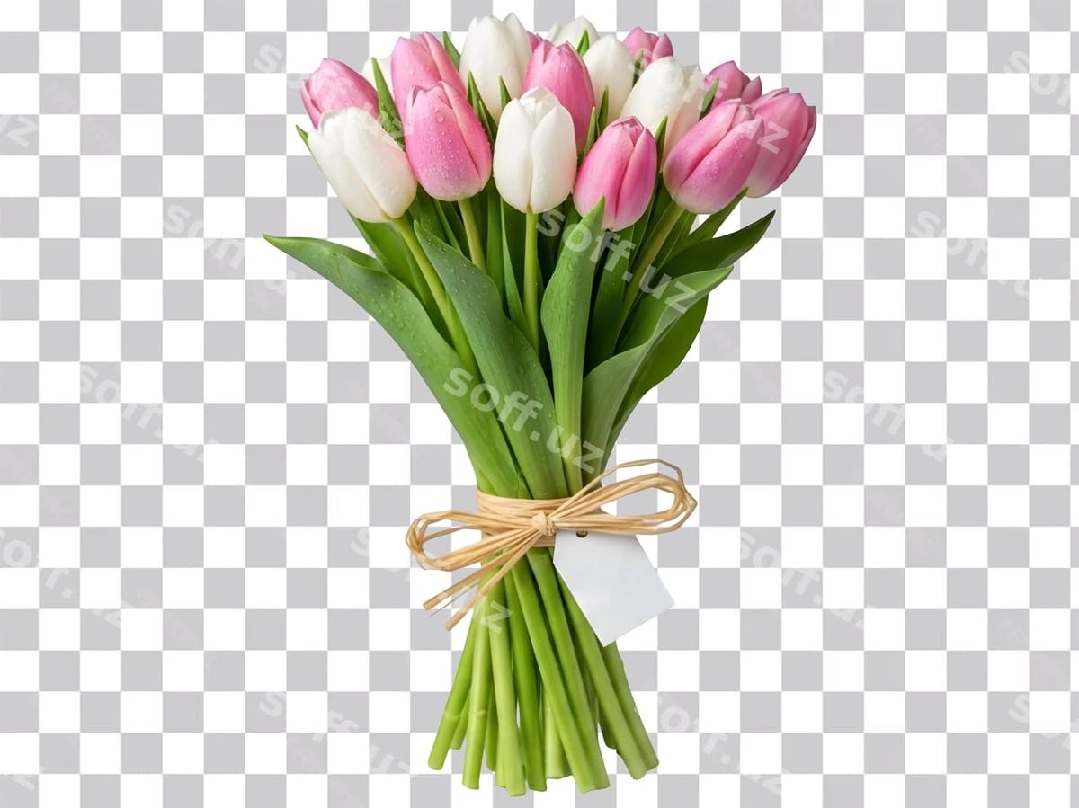 Buket pink va oq lola bo'sh teg bilan | Bouquet pink white tulips with blank tag