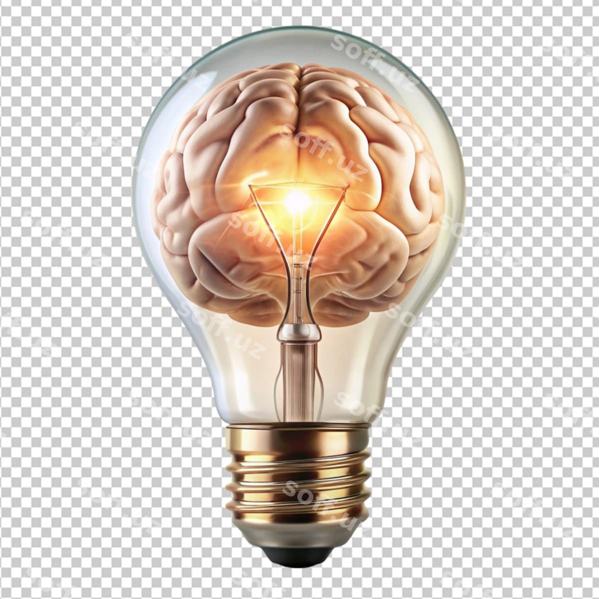 Bosh shaklidagi lampochka | Brain shape light bulb