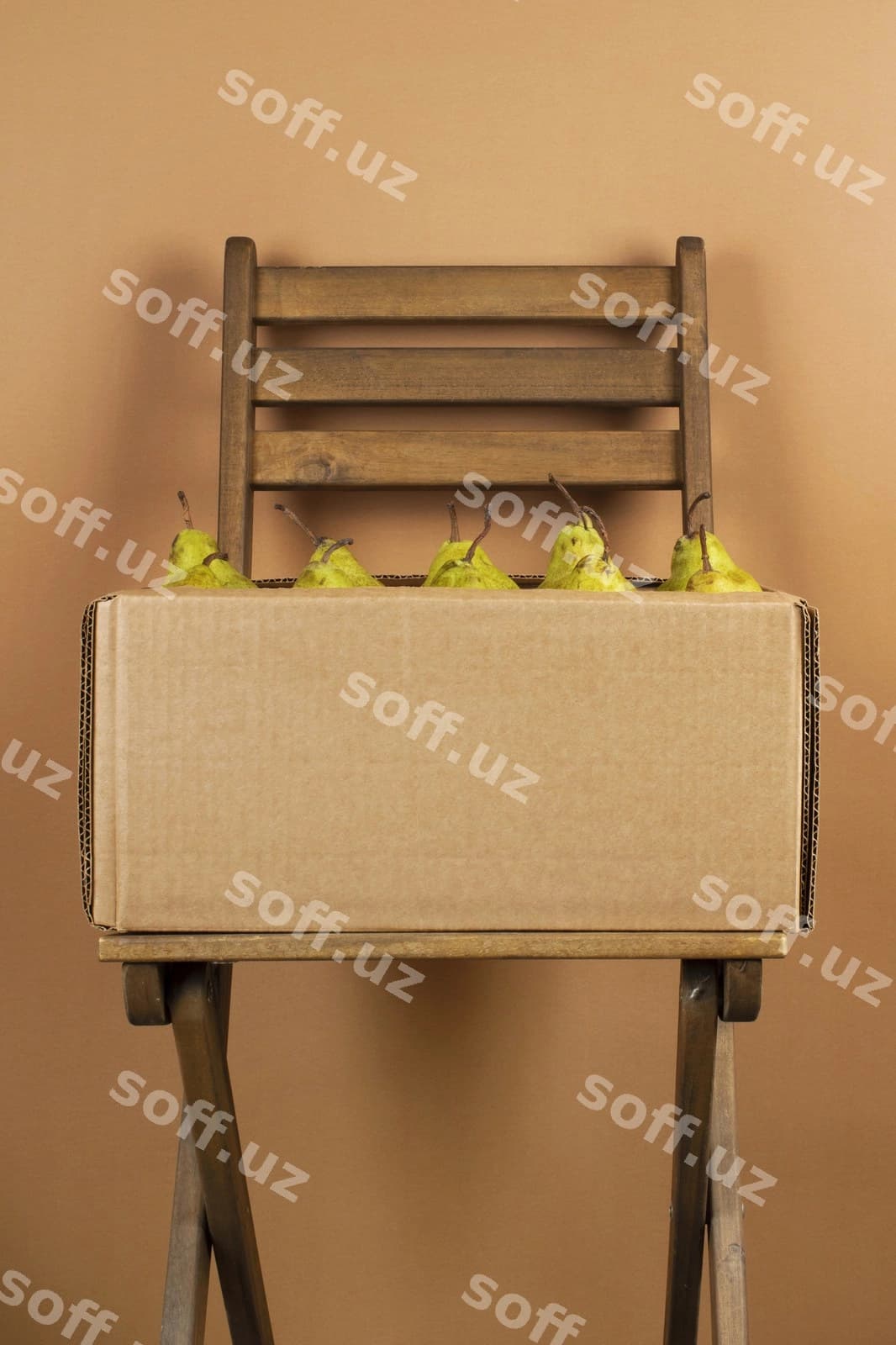 Qog'ozli konteyner quti anorlar | Cardboard container crate pears