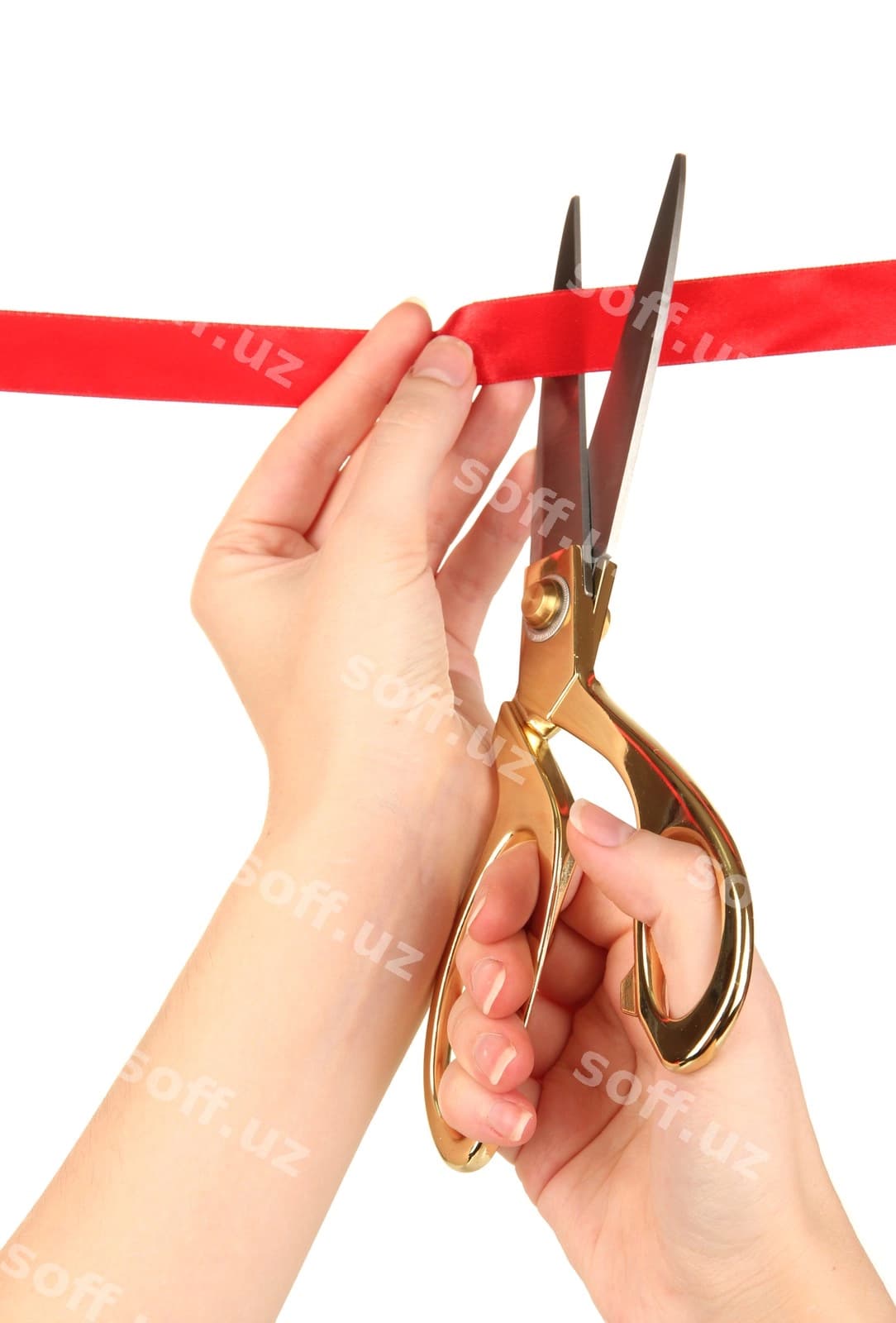 Qizil lentni kesish, oq fonda ajraltirilgan | Cutting red ribbon isolated white