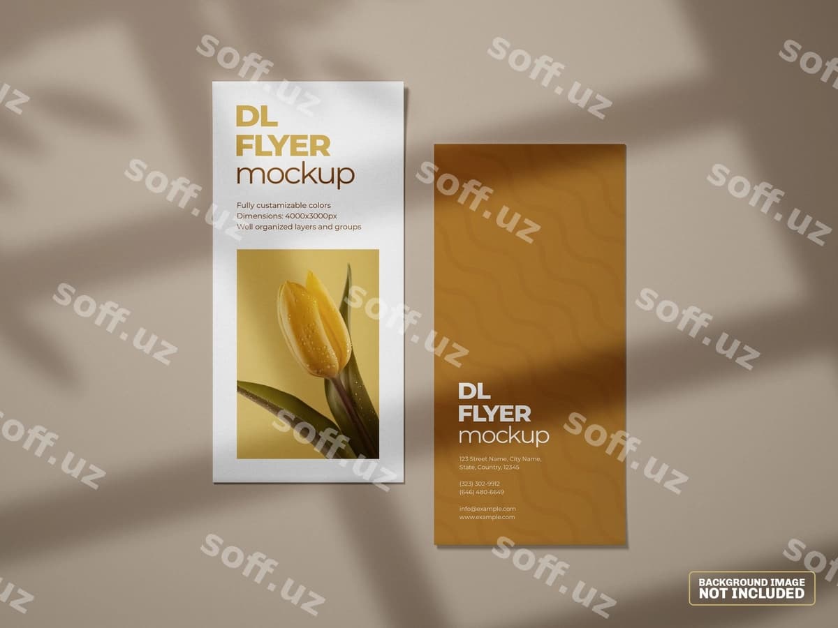 Flyer mockup | Dl flyer mockup