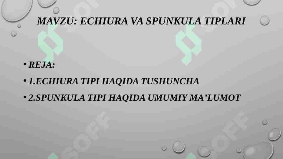 Echiura va Spunkula tiplari