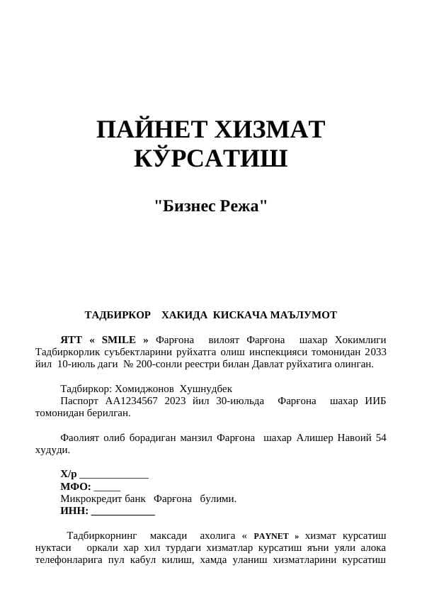 Paynet Xizmat koʻrsatish biznes rejasi