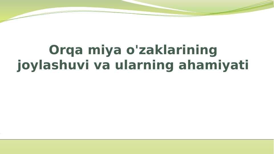 Orqa miya o'zaklarining joylashuvi va ularning ahamiyati