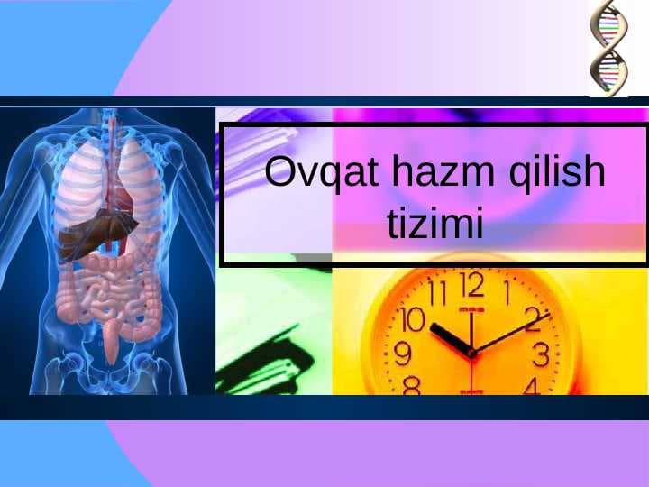 Ovqat hazm qilish tizimi