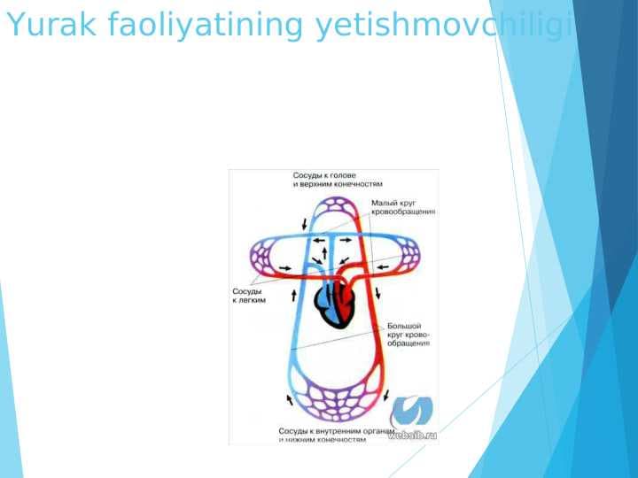 Yurak faoliyatining yetishmovchiligi