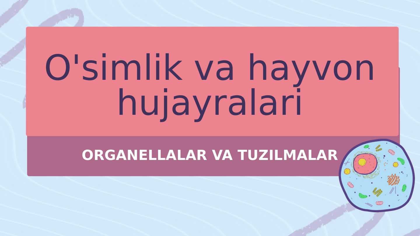 O'simlik va hayvon hujayralari
