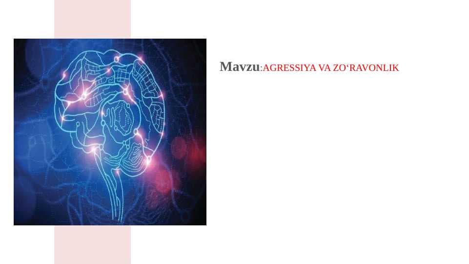 Agressiya va zo`ravonlik