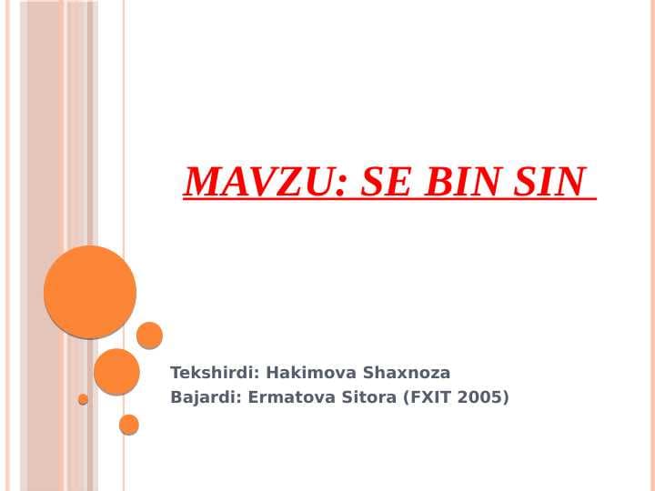 Se Bin Sin ijodi