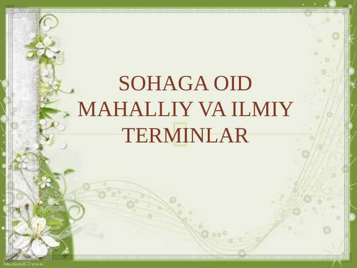 SOHAGA OID MAHALLIY VA ILMIY TERMINLAR