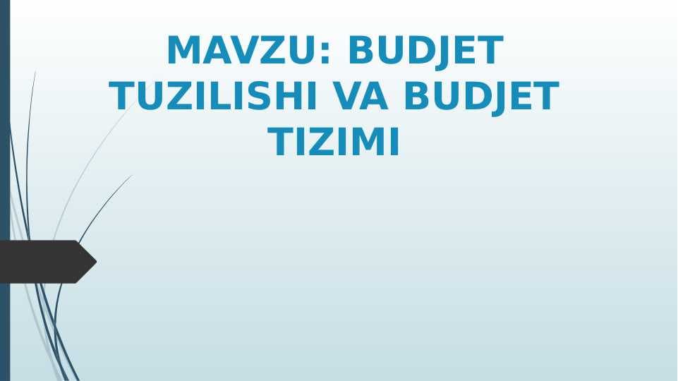 BUDJET TUZILISHI VA BUDJET TIZIMI