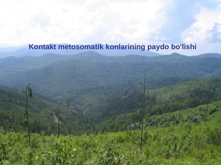 Kontakt metosomatik konlarining paydo bo'lishi