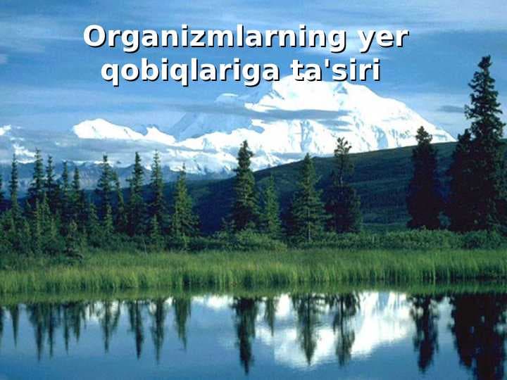 Organizmlarning yer qobiqlariga ta'siri