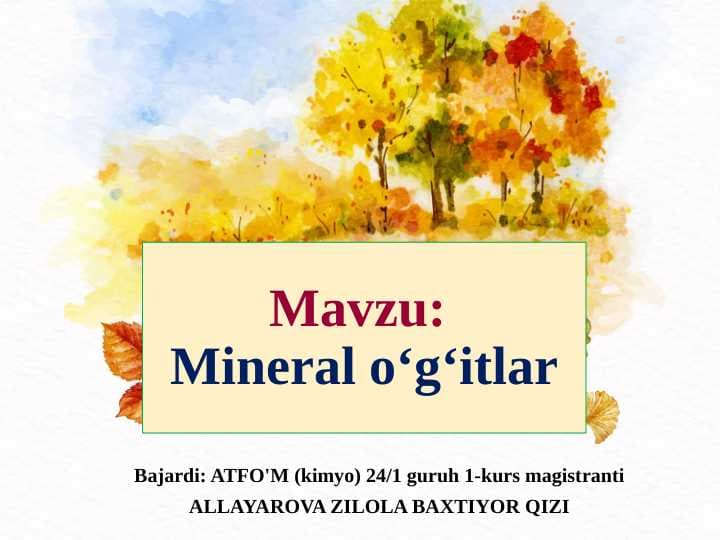Mineral oʻgʻitlar