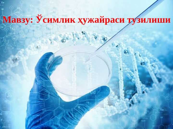 Ўсимлик ҳужайраси тузилиши pptx