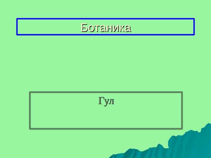 gul va uning tuzilishi va xillari pptx
