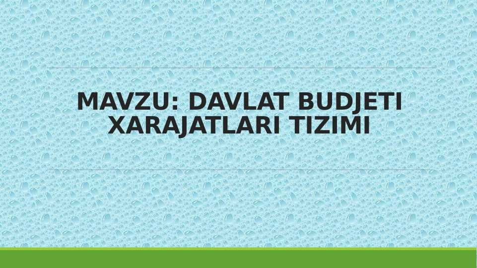 DAVLAT BUDJETI XARAJATLARI TIZIMI
