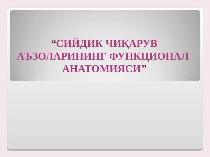 СИЙДИК ЧИҚАРУВ  АЪЗОЛАРИНИНГ ФУНКЦИОНАЛ  АНАТОМИЯСИ