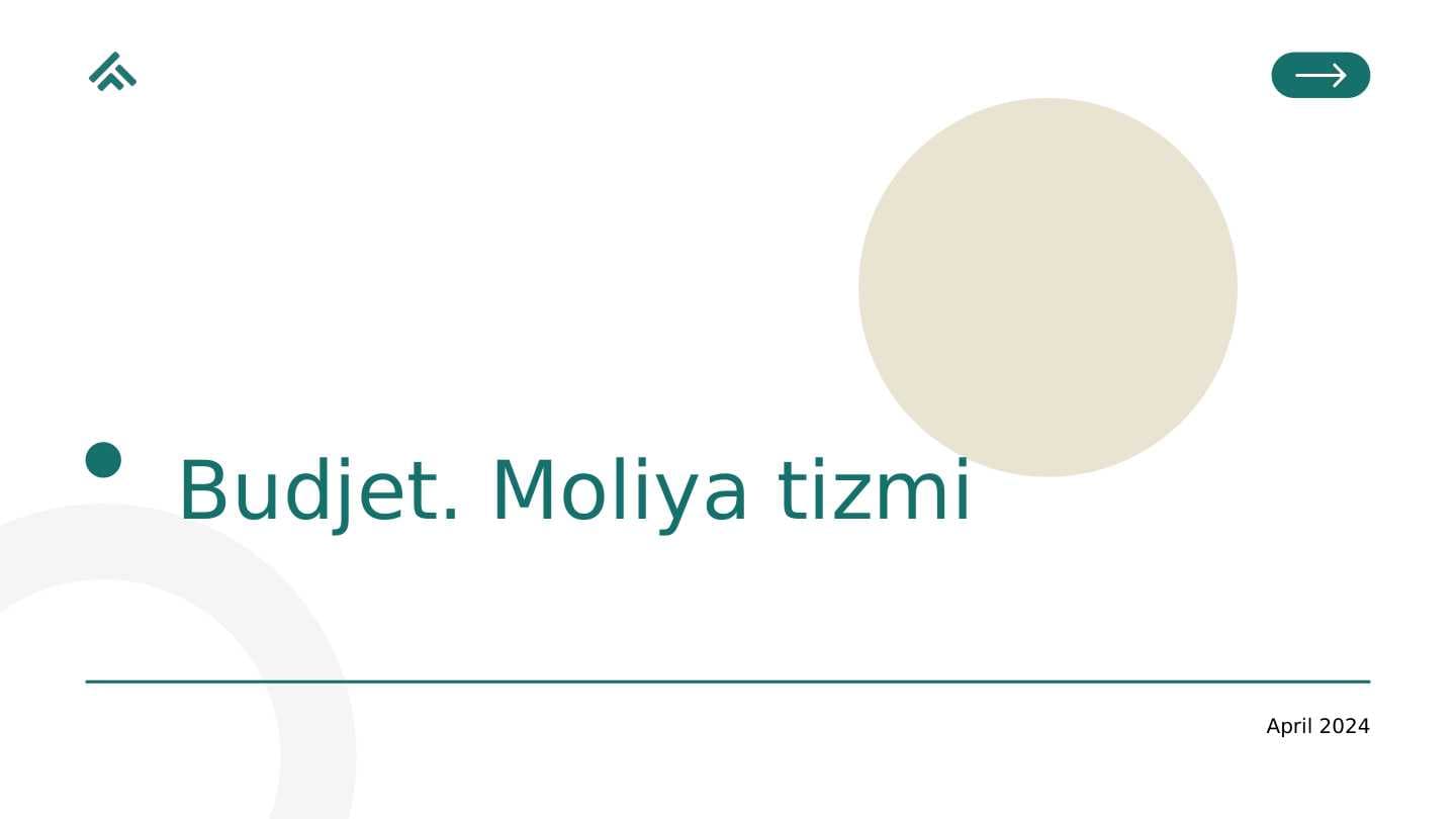 Budjet. Moliya tizmi