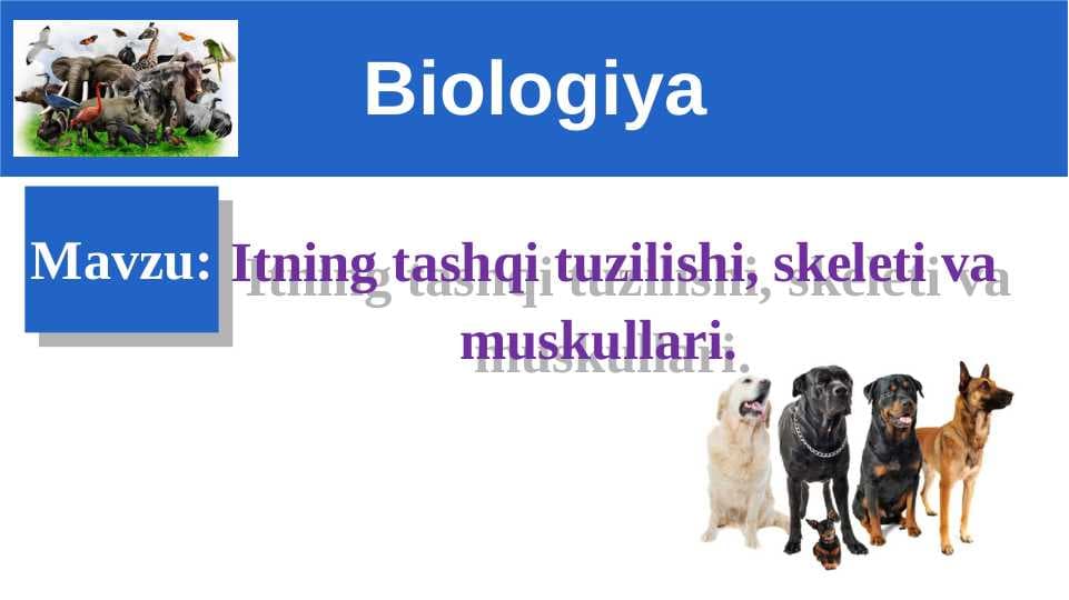 Itning tashqi tuzilishi, skeleti va muskullari