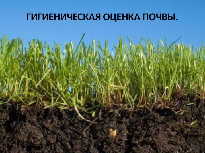 ГИГИЕНИЧЕСКАЯ ОЦЕНКА ПОЧВЫ.
