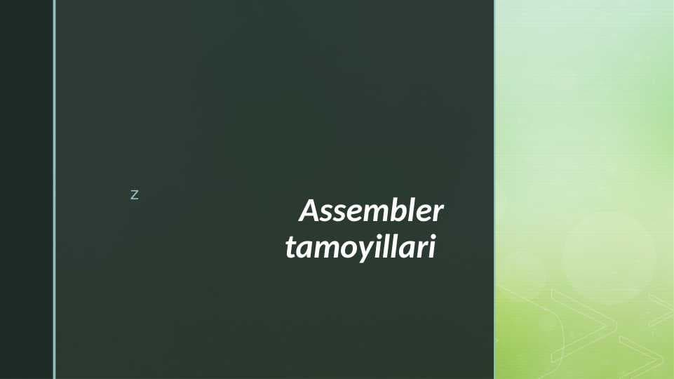 Assembler tamoyillari