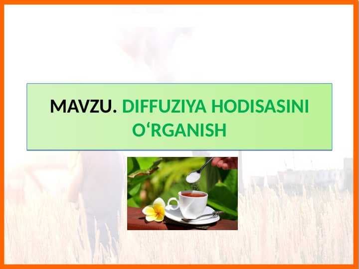 DIFFUZIYA HODISASINI O‘RGANISH Tabiiy fan