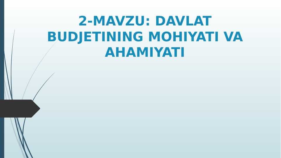 DAVLAT BUDJETINING MOHIYATI VA AHAMIYATI