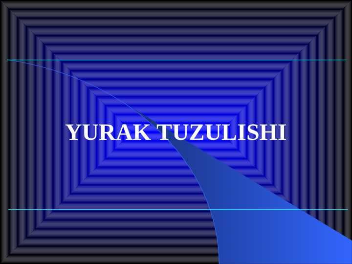 YURAK TUZULISHI