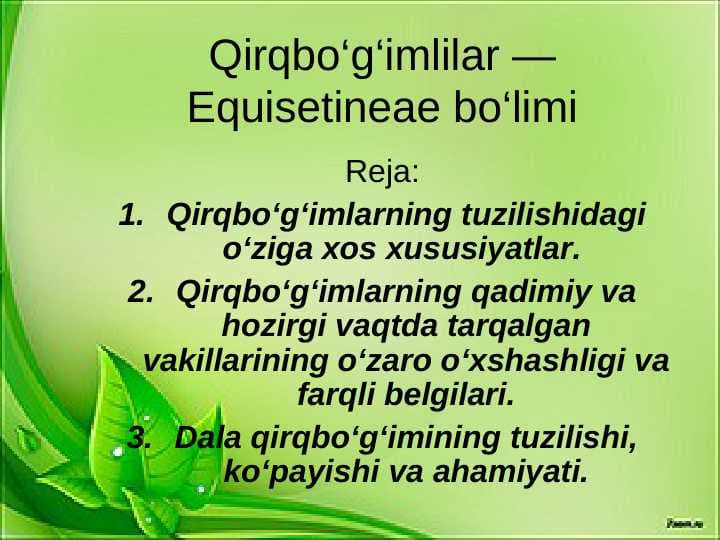 Qirqbo‘g‘imlilar — Equisetineae bo‘limi