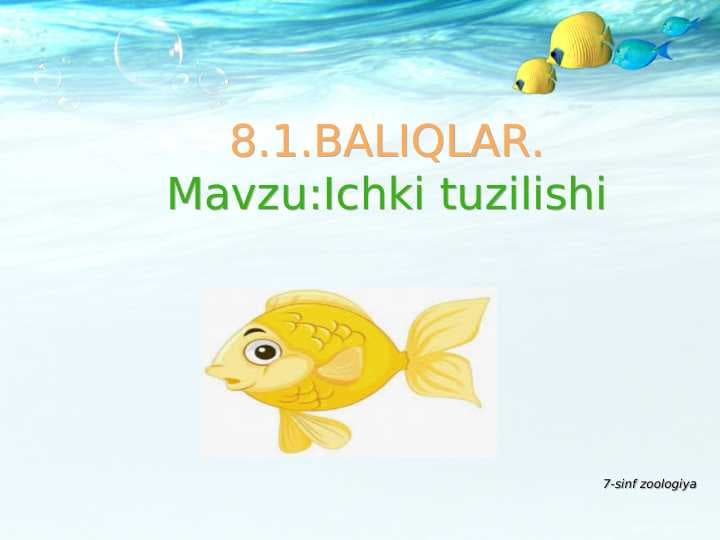 Baliqlarning ichki tuzilishi