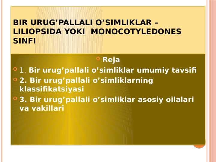 Bir urug’pallali o’simliklar – Liliopsida yoki  Monocotyledones sinfi