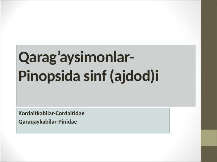 Qarag’aysimonlar-Pinopsida sinf (ajdod)i