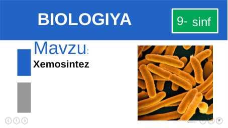 Xemosintez