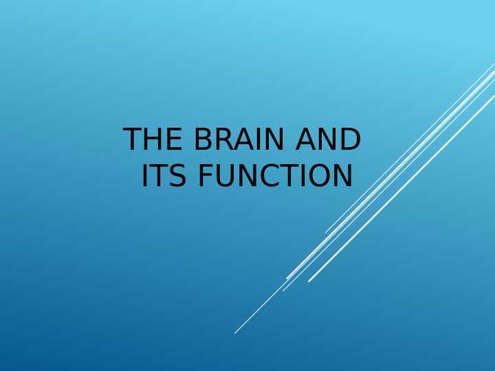 The brain and its function