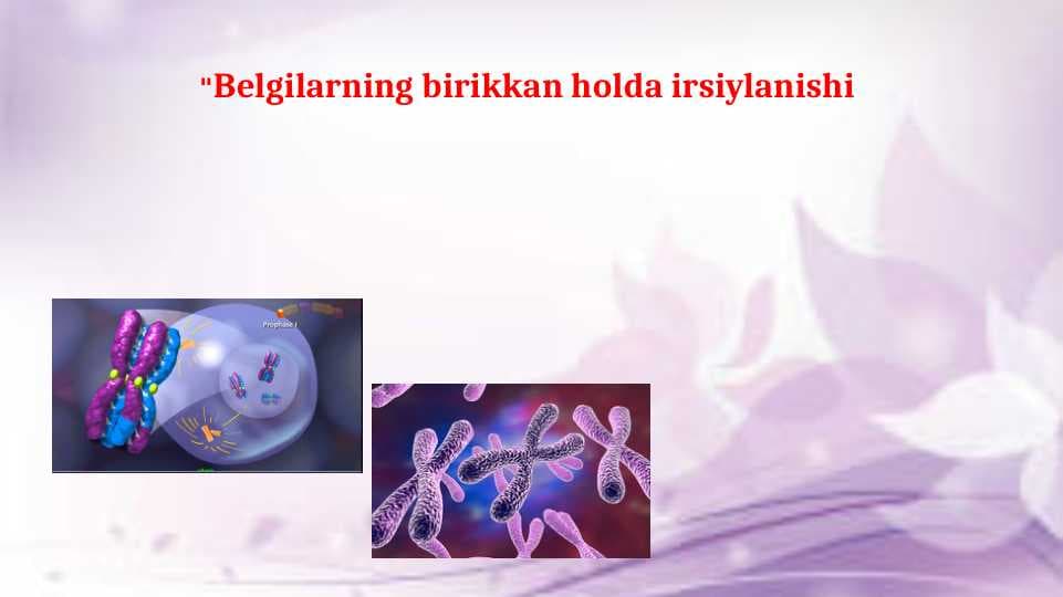 Belgilarning birikkan holda irsiylanishi