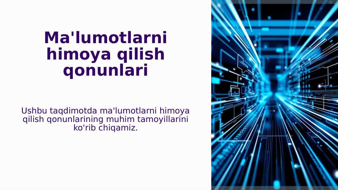 Ma'lumotlarni himoya qilish qonunlari