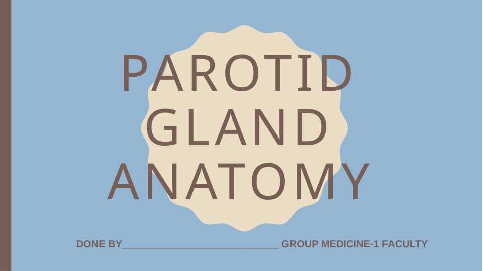 Parotid gland anatomy