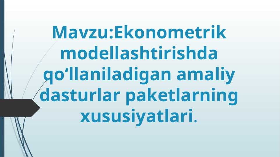ekodrometrik modellashtirishda qo'llaniladigan  amaliy dasturlar