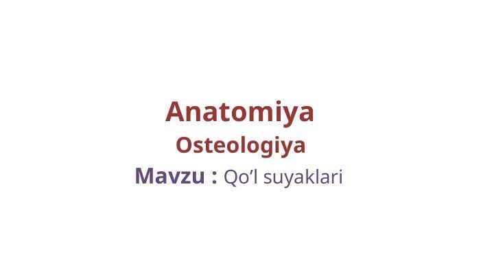 Qo’l suyaklari