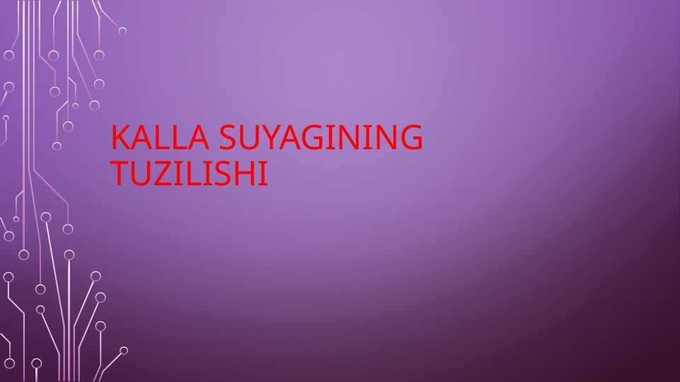 Kalla suyagining tuzilishi