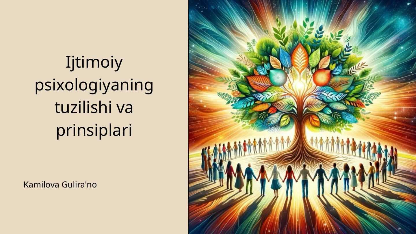 Ijtimoiy psixologiyaning tuzilishi va prinsiplari