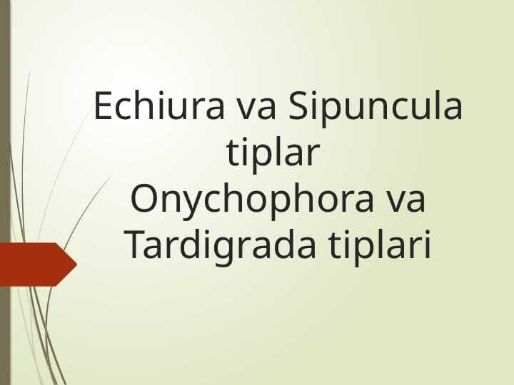 Echiura va Sipuncular