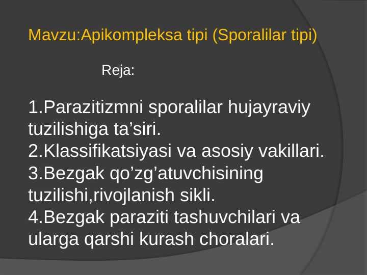 Apikompleksa-sporalilar tipi