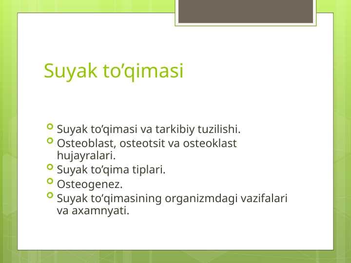 Suyak to'qimasi