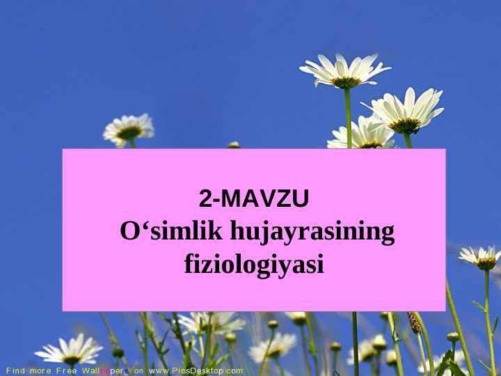 O’simliklar fiziologiyasi 2- mavzu