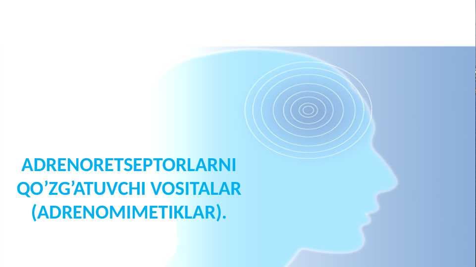 Adrenoretseptorlarni qo’zg’atuvchi vositalar (adrenomimetiklar)